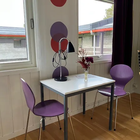 بيت شباب Raulandsakademiet Rauland