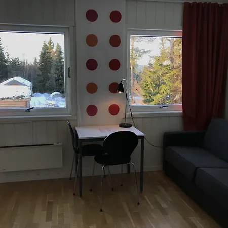 بيت شباب Raulandsakademiet Rauland