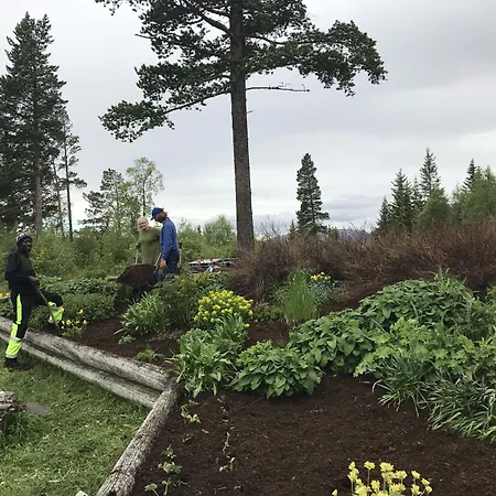 Raulandsakademiet بيت شباب Rauland