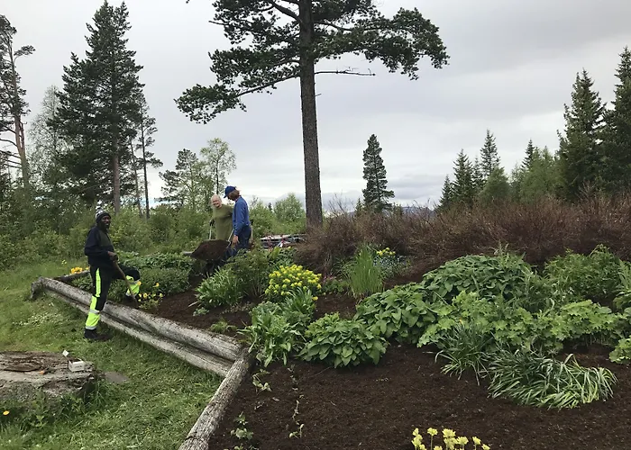 Raulandsakademiet Hostel Rauland