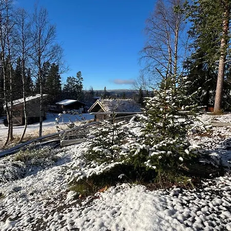 Ostello Raulandsakademiet *